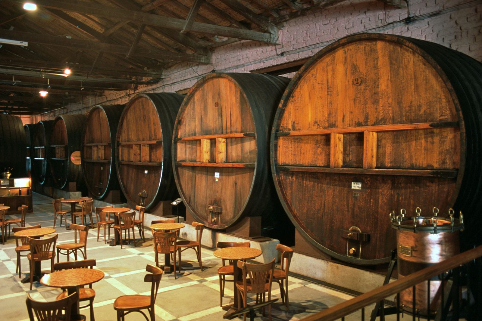 Degustación en Bodega